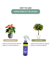 Sereno Accessories Natural Plant Nutrition Spray