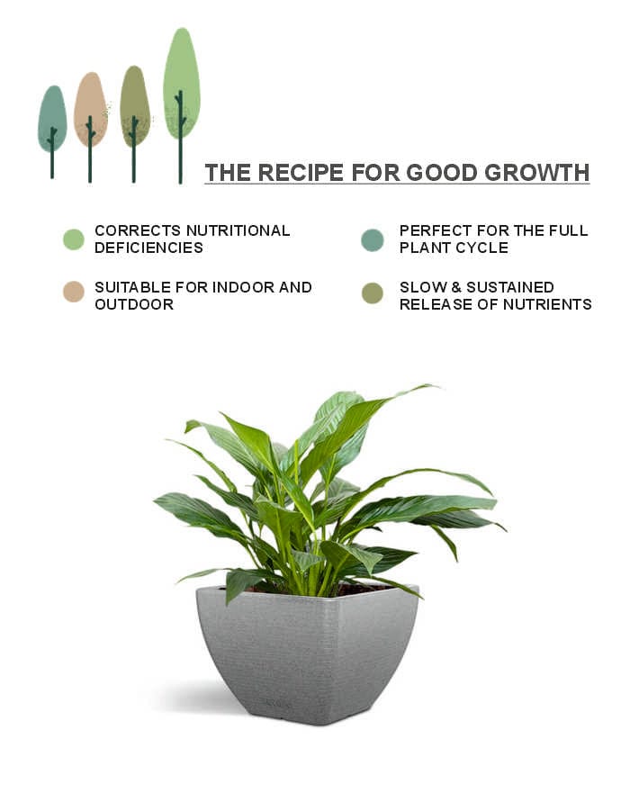 Sereno Accessories Natural Plant Nutrition Spray