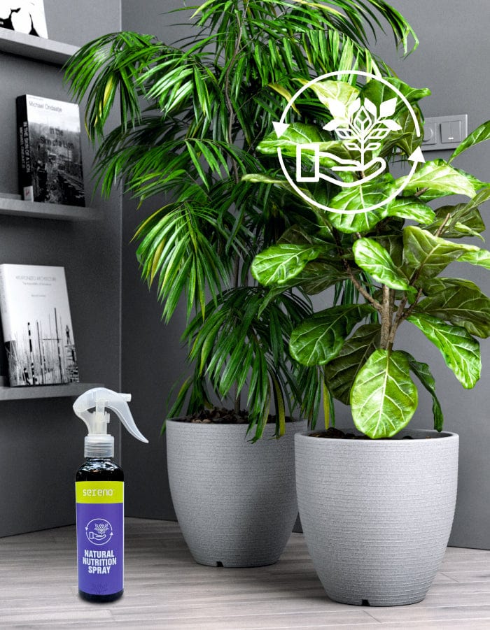 Sereno Accessories Natural Plant Nutrition Spray