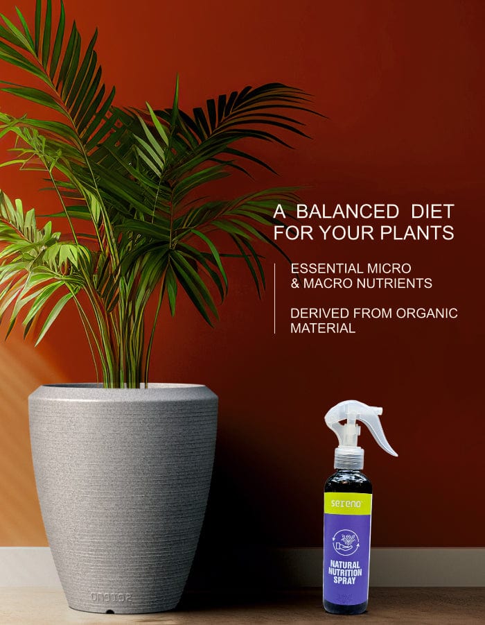 Sereno Accessories Natural Plant Nutrition Spray
