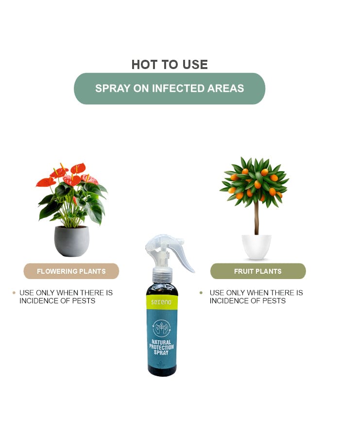 Sereno Accessories Natural Plant Protection Spray