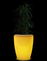 Chiara LED Planter