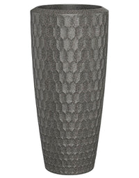 Chiara Full Soil