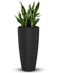 Chiara Full Soil