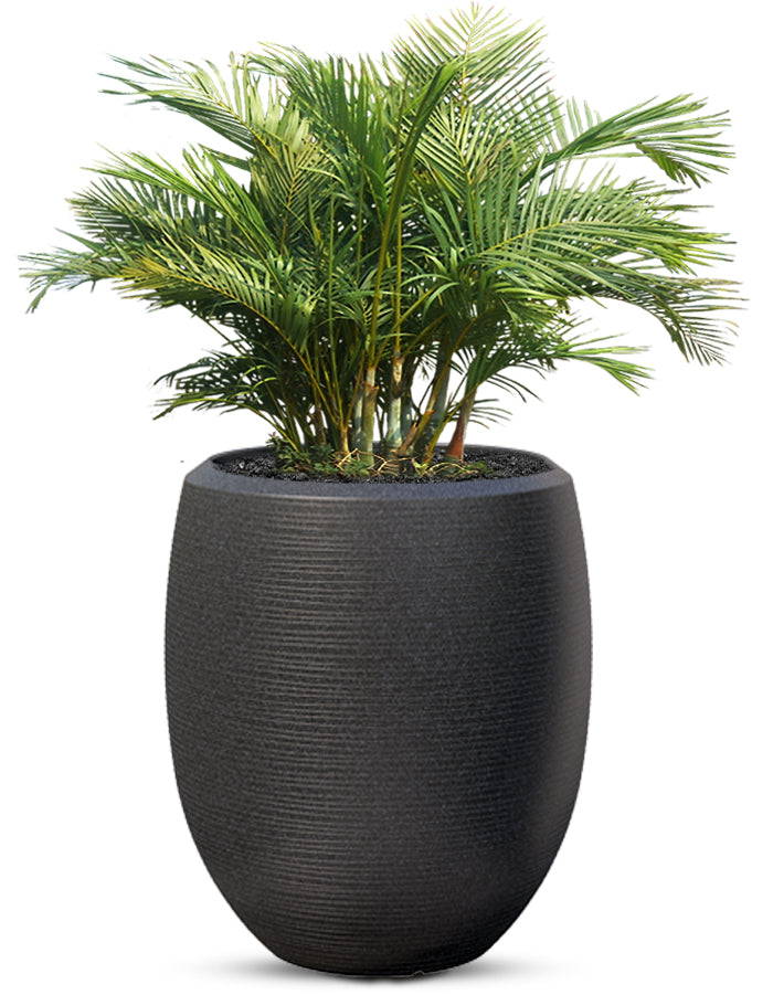 Enzo Large Planter