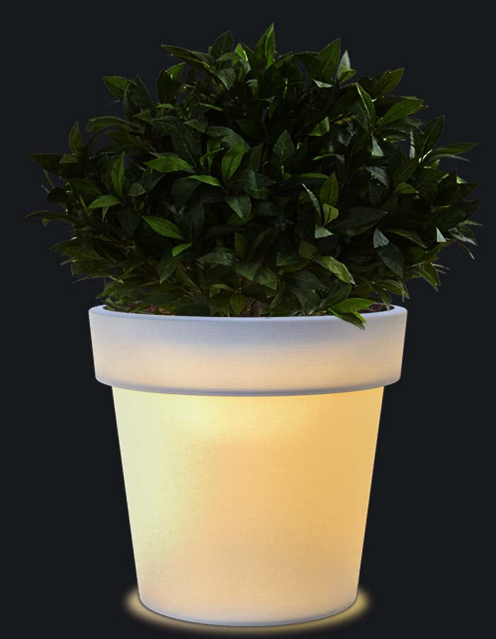 Eloisa LED Planter