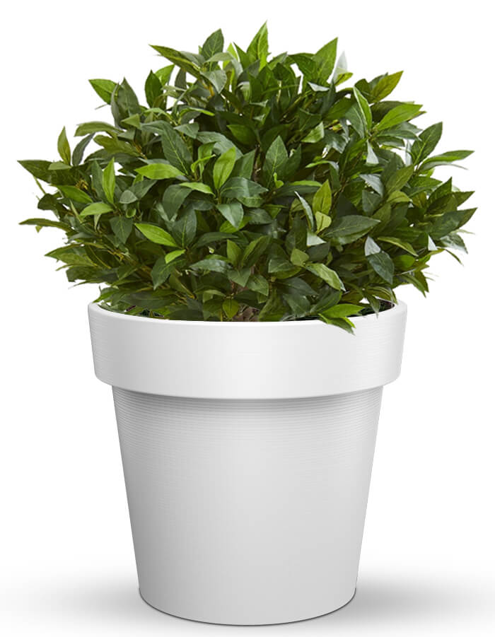 Eloisa LED Planter