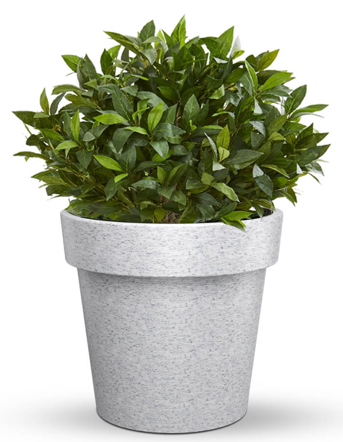 Eloisa LED Planter