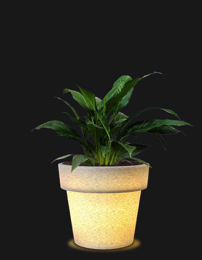 Eloisa LED Planter