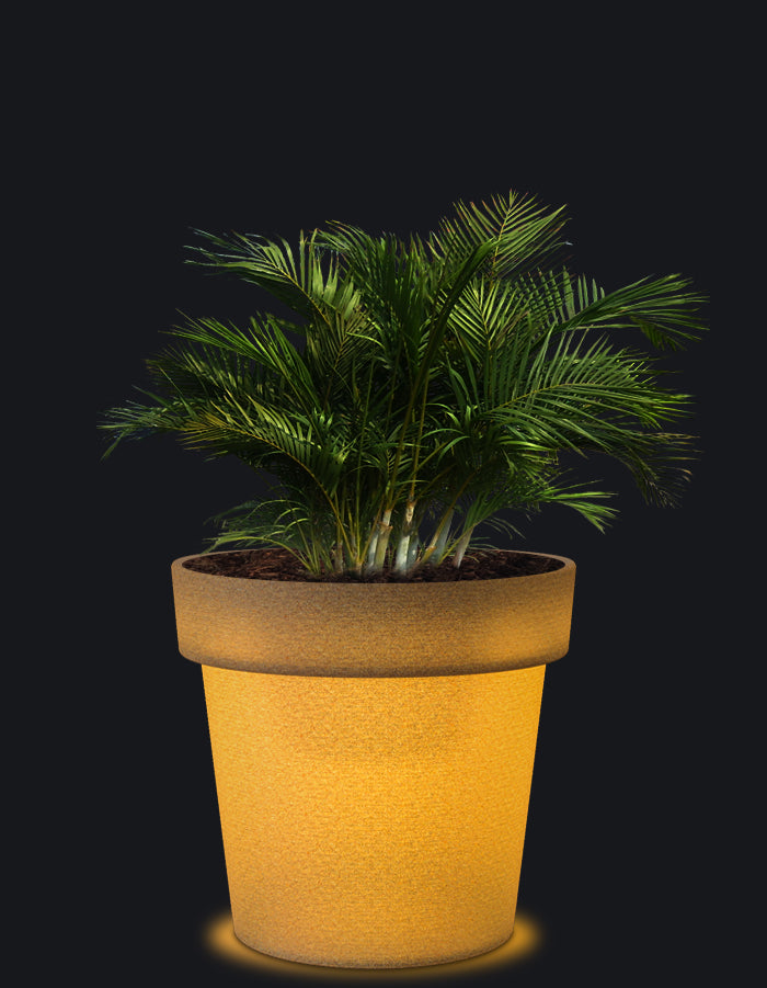 Eloisa LED Planter