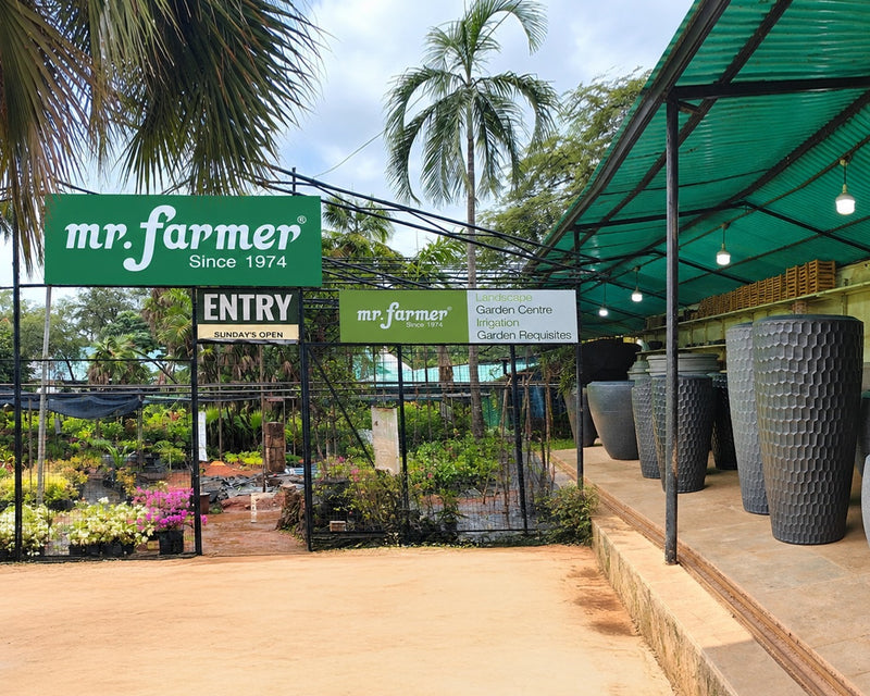 Mr. Farmer