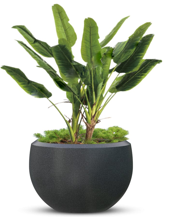 Grande Extra Large Planter