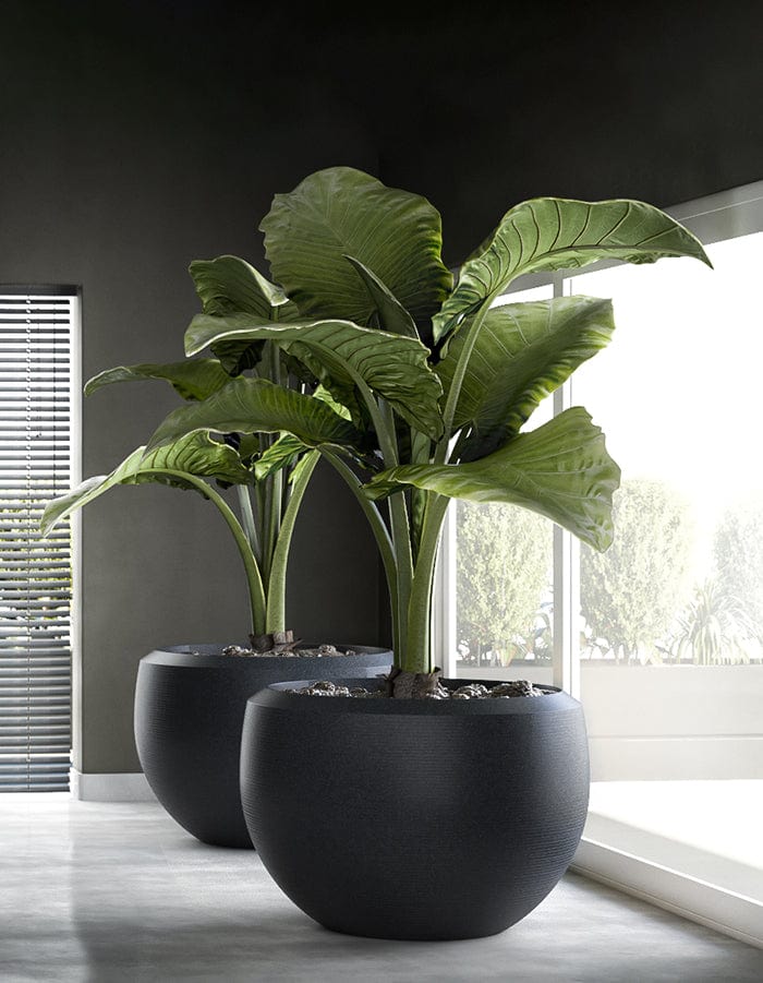 Grande Extra Large Planter