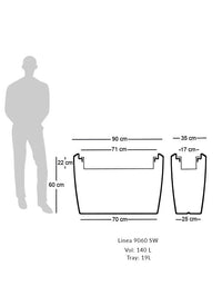 Linea