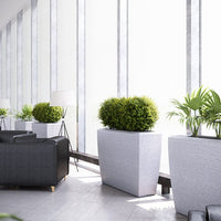 Linea Extra Large Planter