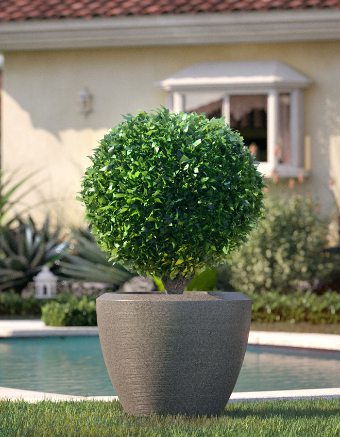 Piatto Extra Large Planter