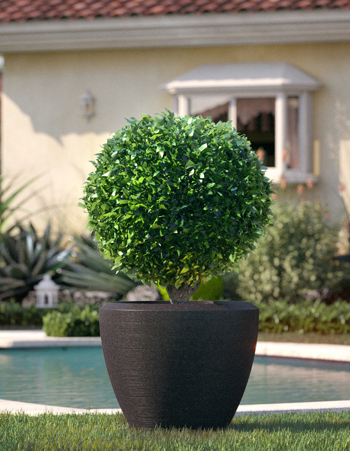 Piatto Extra Large Planter