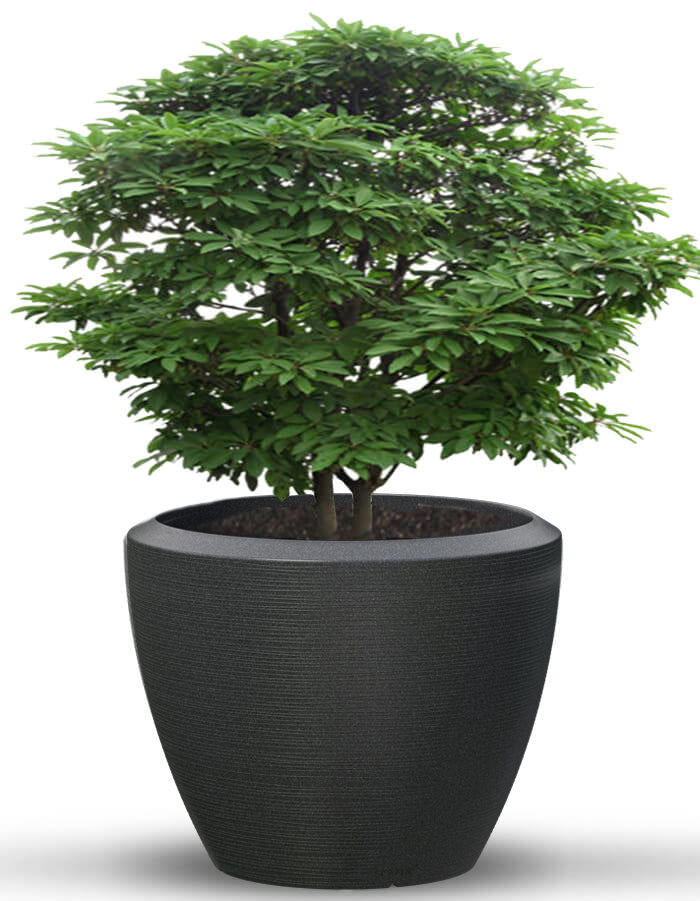 Piatto Extra Large Planter