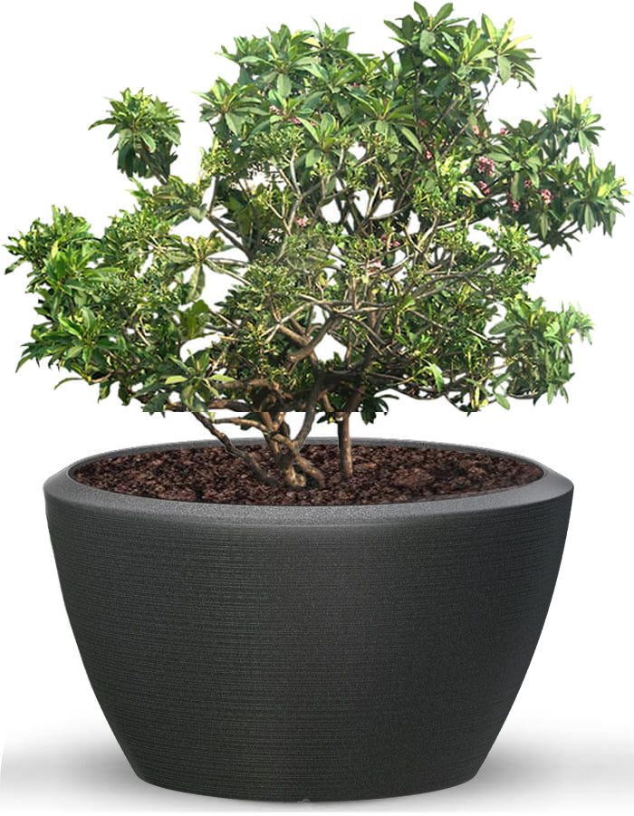 Piatto Extra Large Planter