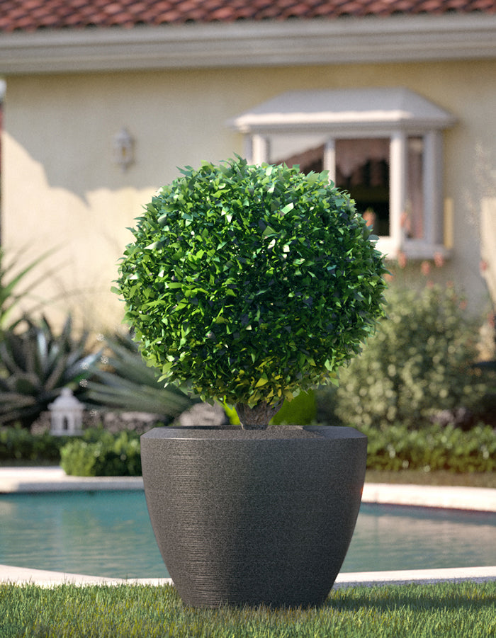 Piatto Extra Large Planter