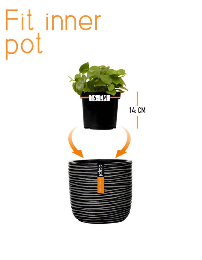 Sereno planters Anna