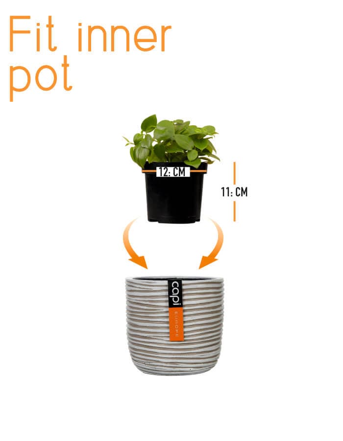 Sereno planters Anna