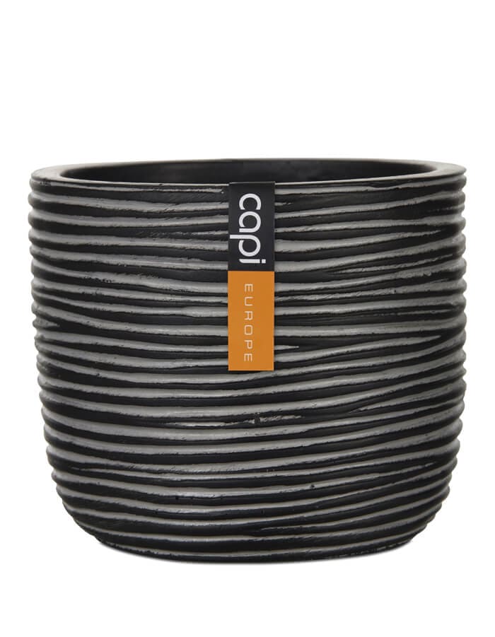 Sereno planters Anna