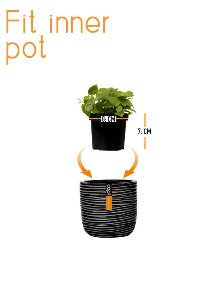 Sereno planters Anna