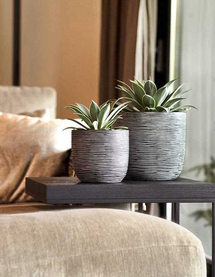 Sereno planters Anna