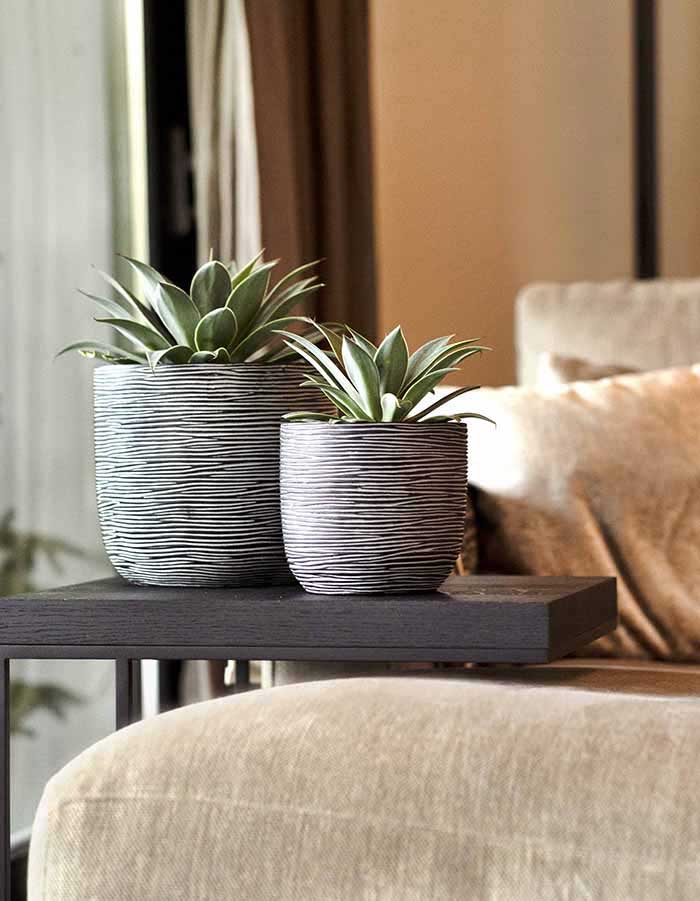 Sereno planters Anna