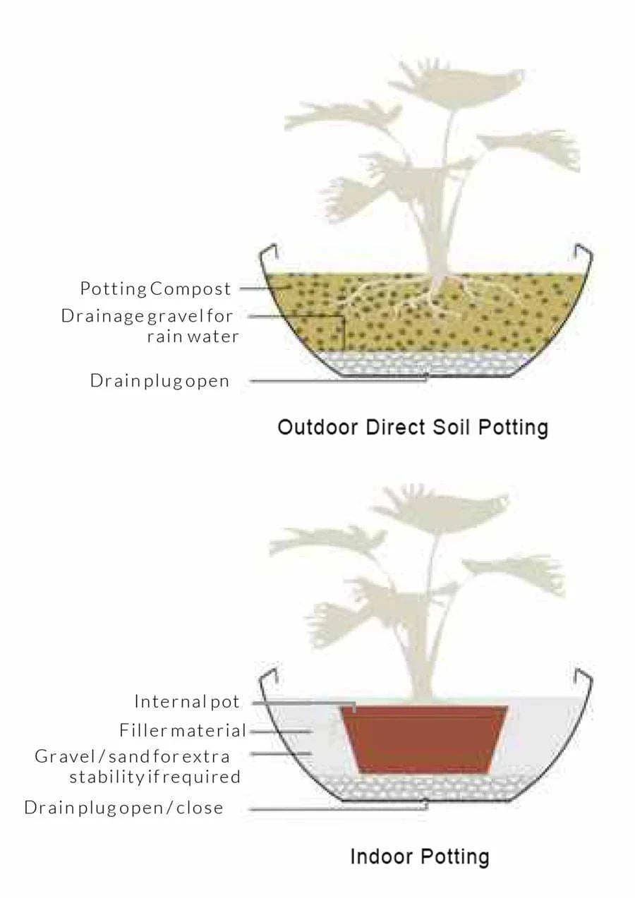 Sereno planters Bassa