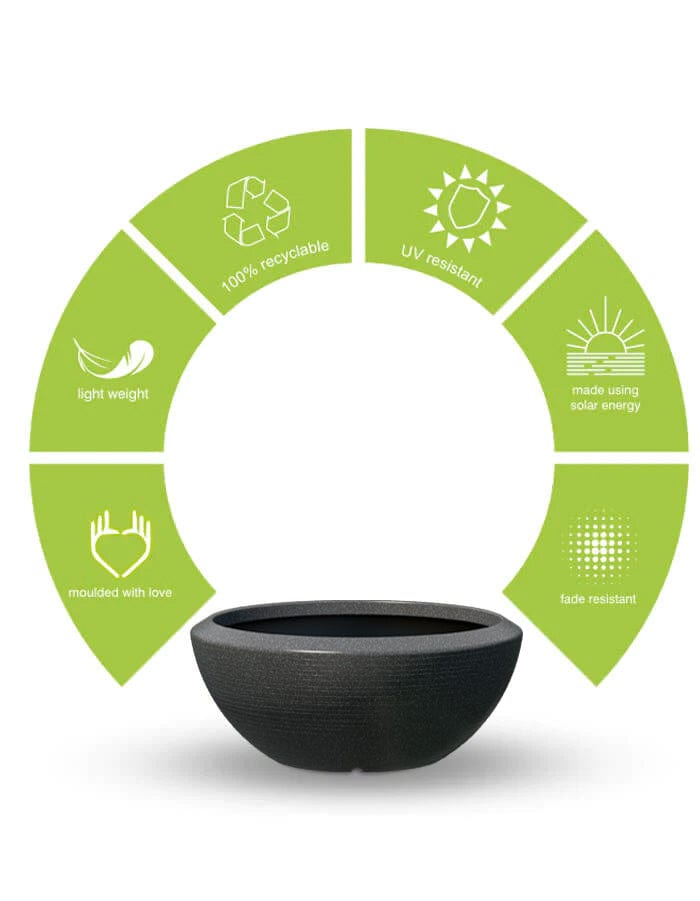 Sereno planters Bassa