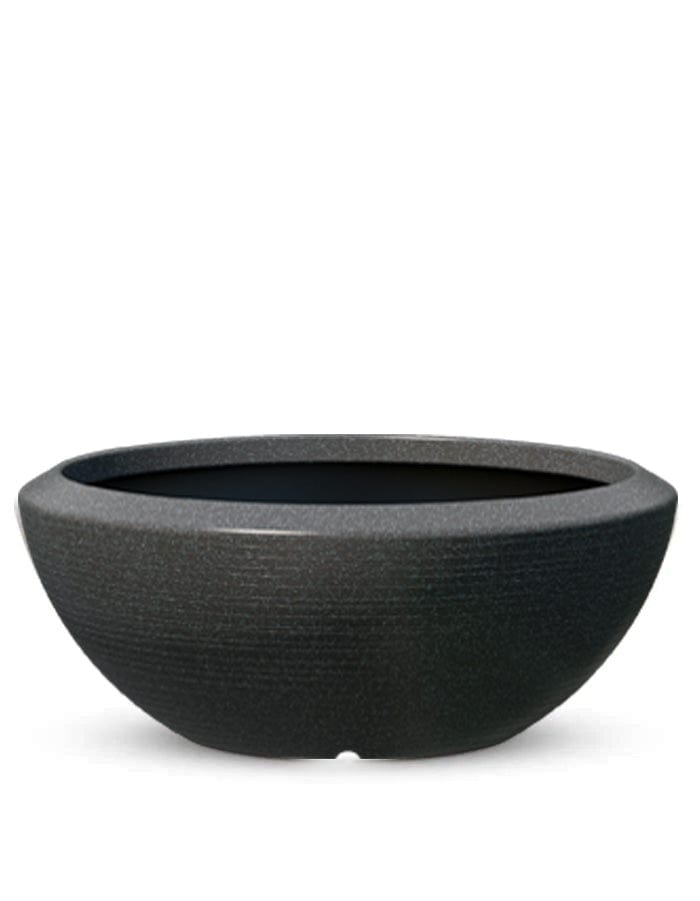 Sereno planters Bassa