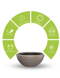 Sereno planters Bassa