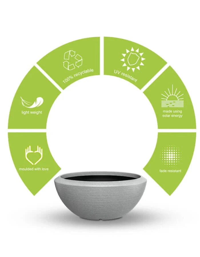 Sereno planters Bassa