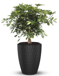 Sereno planters Chiara