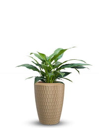 Sereno planters Chiara LED Planter