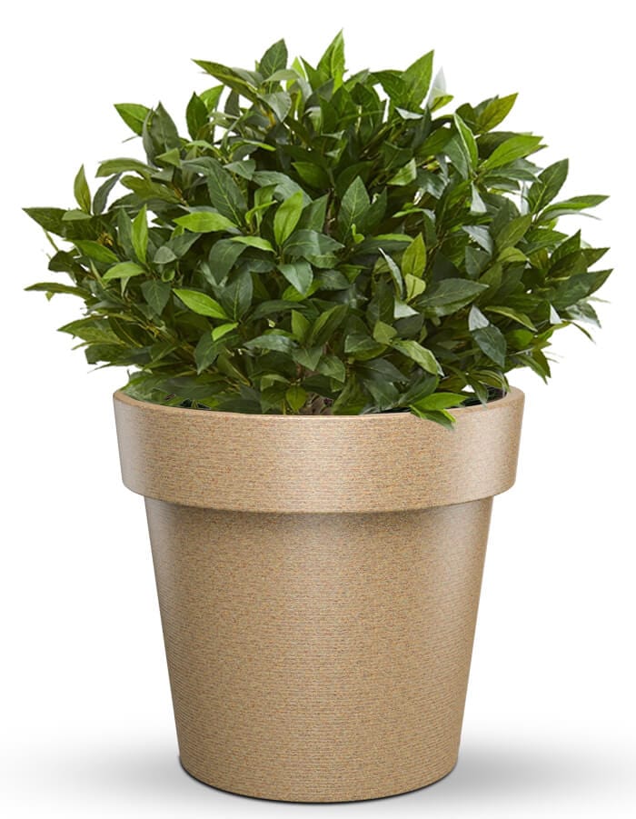 Sereno planters Eloisa LED Planter