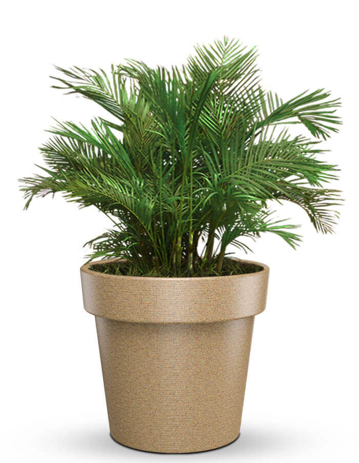 Sereno planters Eloisa LED Planter