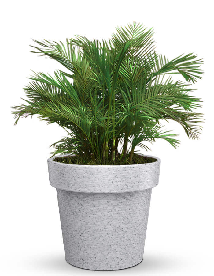 Sereno planters Eloisa LED Planter