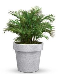 Sereno planters Eloisa LED Planter