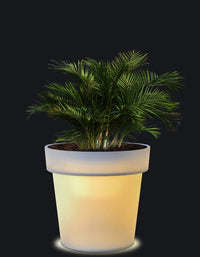 Sereno planters Eloisa LED Planter