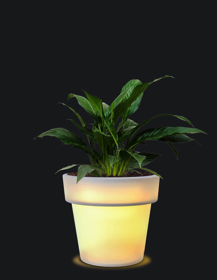 Sereno planters Eloisa LED Planter