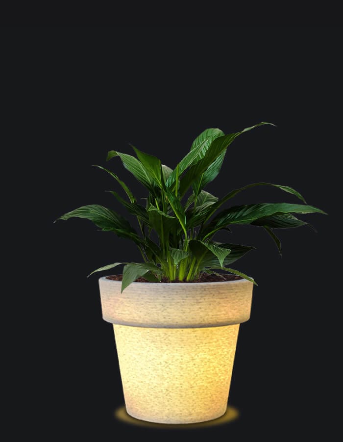 Sereno planters Eloisa LED Planter