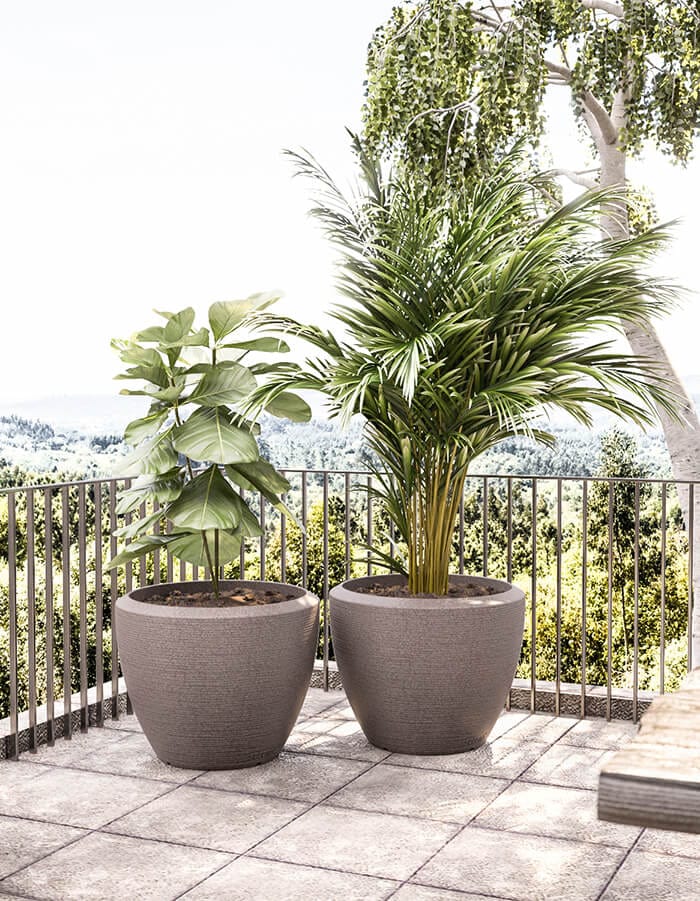 serenodelhi planters Large / D75 X H60cm / Dholpur Beige Piatto Large Planter