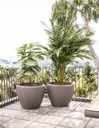 serenodelhi planters Large / D75 X H60cm / Dholpur Beige Piatto Large Planter