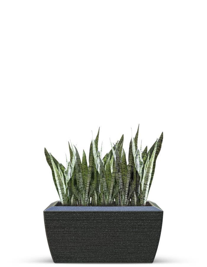 Sereno planters Linea