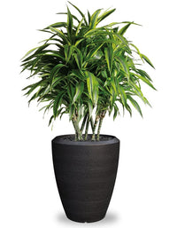 Sereno planters Piatto Slim
