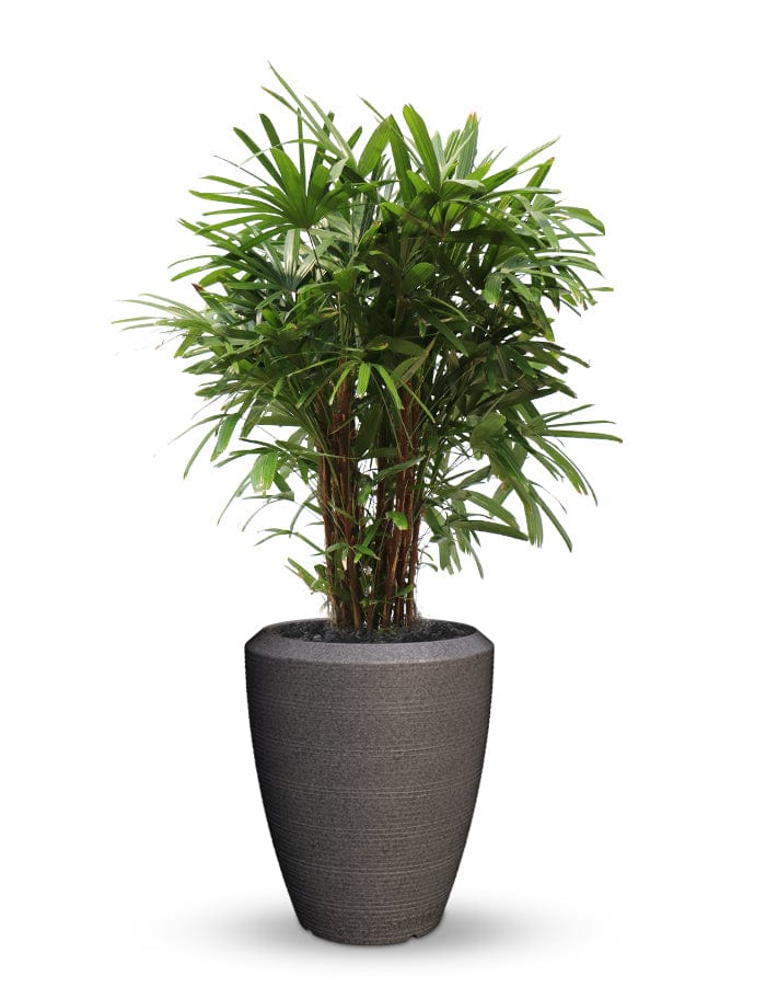 Sereno planters Piatto Slim