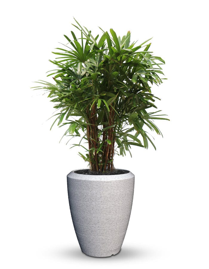 Sereno planters Piatto Slim